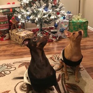 Meet your Posher, Kassidy